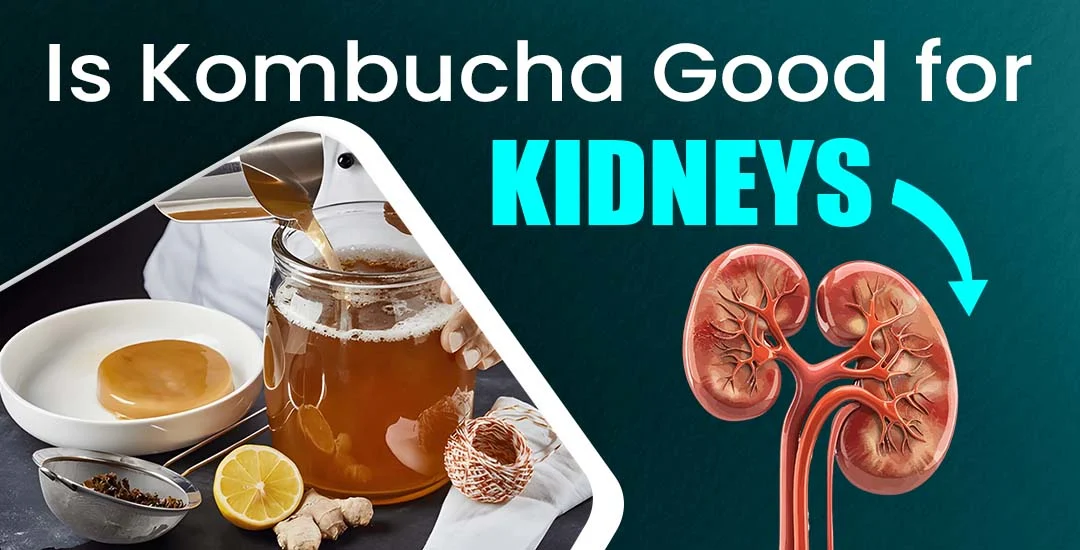Is Kombucha Good for Kidneys?